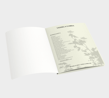 Noya Rao Journal